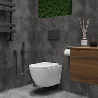 Унитаз подвесной Roxen Antares Tornado в комплекте с инсталляцией Asten Readle Zentralmodul с кнопкой сатин (хром матовый) - Превью изображения №7 — Интернет-магазин Time-Shop