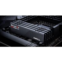 Оперативная память G.Skill Ripjaws S5 2x24ГБ DDR5 5600 МГц F5-5600J4040D24GX2-RS5K - Превью изображения №6 — Интернет-магазин Time-Shop