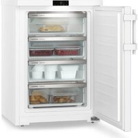 Морозильник Liebherr Fdi 1624 Plus - Превью изображения №5 — Интернет-магазин Time-Shop