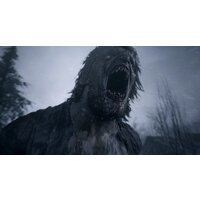  Resident Evil Village для PlayStation 5 - Превью изображения №5 — Интернет-магазин Time-Shop