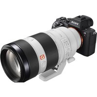 Объектив Sony FE 100-400mm F4.5-5.6 GM OSS [SEL100400GM] - Превью изображения №9 — Интернет-магазин Time-Shop