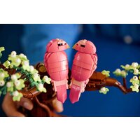 Конструктор LEGO Ideas 21365 Влюблённые птицы - Превью изображения №10 — Интернет-магазин Time-Shop