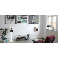 Полочная акустика DALI Oberon 3 Light Oak - Превью изображения №4 — Интернет-магазин Time-Shop