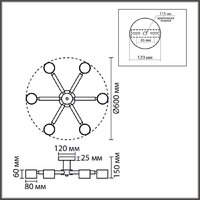 Припотолочная люстра Lumion Vudi 8306/6C - Превью изображения №7 — Интернет-магазин Time-Shop