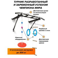 Турник Absolute Champion Оптимист АЧ 10045 (тарзанка, лестница, кольца, черный, черные ручки) - Превью изображения №7 — Интернет-магазин Time-Shop