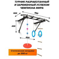 Турник Absolute Champion Оптимист АЧ 10045 (тарзанка, лестница, кольца, черный, черные ручки) - Превью изображения №8 — Интернет-магазин Time-Shop