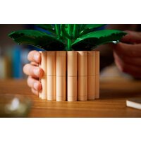 Конструктор LEGO The Botanical Collection 11504 Мирная лилия - Превью изображения №7 — Интернет-магазин Time-Shop