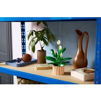 Конструктор LEGO The Botanical Collection 11504 Мирная лилия - Превью изображения №6 — Интернет-магазин Time-Shop