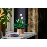 Конструктор LEGO The Botanical Collection 11504 Мирная лилия - Превью изображения №5 — Интернет-магазин Time-Shop