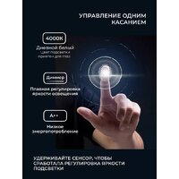 Зеркало с подсветкой  EMZE 70 LED.UV.70.70.AUR (золотой с УФ-окантовкой и подсветкой) - Превью изображения №4 — Интернет-магазин Time-Shop
