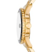 Наручные часы Fossil FS6035 - Превью изображения №2 — Интернет-магазин Time-Shop