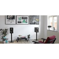 Полочная акустика DALI Oberon 3 Black Ash - Превью изображения №5 — Интернет-магазин Time-Shop