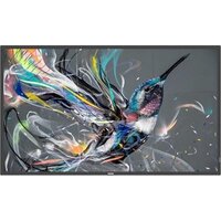 Philips 43BDL3511Q/00