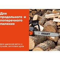 Электрическая пила Gigant GSAF-13 - Превью изображения №18 — Интернет-магазин Time-Shop