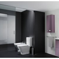 Унитаз напольный Roca The Gap [342477000] (без бачка, без сиденья) - Превью изображения №3 — Интернет-магазин Time-Shop