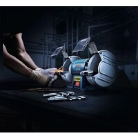 Заточный станок Bosch GBG 60-20 Professional - Превью изображения №2 — Интернет-магазин Time-Shop