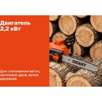 Электрическая пила Gigant GSAF-12 - Превью изображения №17 — Интернет-магазин Time-Shop