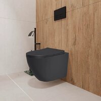 Унитаз подвесной Lauter Augsburg 21109EC + I012709 + I090138 (черный матовый с кнопкой смыва черный матовый) - Превью изображения №10 — Интернет-магазин Time-Shop