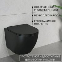 Унитаз подвесной Lauter Augsburg 21109EC + I012709 + I090138 (черный матовый с кнопкой смыва черный матовый) - Превью изображения №5 — Интернет-магазин Time-Shop