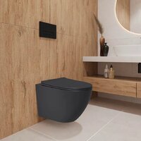 Унитаз подвесной Lauter Augsburg 21109EC + I012709 + I090138 (черный матовый с кнопкой смыва черный матовый) - Превью изображения №11 — Интернет-магазин Time-Shop
