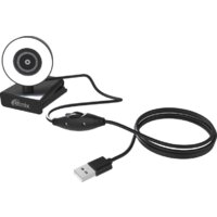 Веб-камера Ritmix RVC-250 - Превью изображения №3 — Интернет-магазин Time-Shop