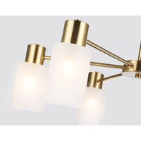 Подвесная люстра Ambrella light TR9581/6 BS (латунь) - Превью изображения №4 — Интернет-магазин Time-Shop