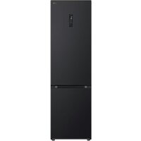 LG Door Cooling+ GBV5250CEP