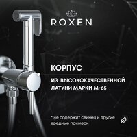 Гигиенический душ Roxen Santi 500940-B (черный матовый) - Превью изображения №8 — Интернет-магазин Time-Shop