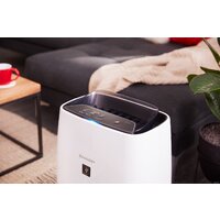 Очиститель воздуха Sharp FP-J40EU-W - Превью изображения №5 — Интернет-магазин Time-Shop