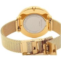 Наручные часы Skagen SKW2722 - Превью изображения №2 — Интернет-магазин Time-Shop