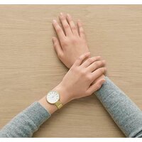 Наручные часы Skagen SKW2722 - Превью изображения №3 — Интернет-магазин Time-Shop