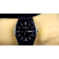 Наручные часы Skagen SKW6006 - Превью изображения №19 — Интернет-магазин Time-Shop