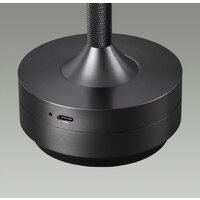 Настольная лампа Odeon Light Tet-A-Tet 5034/6TL - Превью изображения №3 — Интернет-магазин Time-Shop