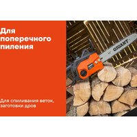 Электрическая пила Gigant GSAF-11 - Превью изображения №16 — Интернет-магазин Time-Shop