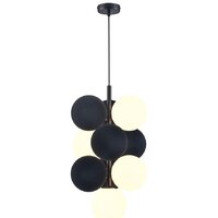 Wertmark Berta WE237.10.026