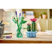 Конструктор LEGO The Botanical Collection 11509 Цветущий кактус в горшке - Превью изображения №8 — Интернет-магазин Time-Shop
