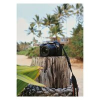 Беззеркальный фотоаппарат Canon EOS R10 RF-S 18-45mm F4.5-6.3 IS STM - Превью изображения №14 — Интернет-магазин Time-Shop