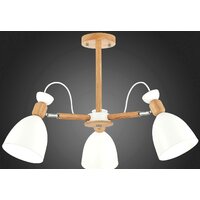 Люстра средней высоты Evoluce Balcamo SLE103802-03 - Превью изображения №3 — Интернет-магазин Time-Shop