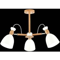 Люстра средней высоты Evoluce Balcamo SLE103802-03 - Превью изображения №2 — Интернет-магазин Time-Shop