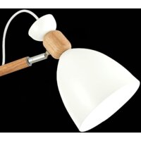 Люстра средней высоты Evoluce Balcamo SLE103802-03 - Превью изображения №7 — Интернет-магазин Time-Shop