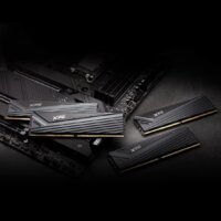 Оперативная память ADATA XPG Caster 2x32ГБ DDR5 6000 МГц AX5U6000C3032G-DCCAGY - Превью изображения №7 — Интернет-магазин Time-Shop