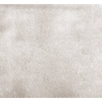 Стул ДСВ Бостон (2 шт, бежевый) - Превью изображения №2 — Интернет-магазин Time-Shop