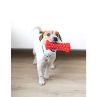 Игрушка для собак Fancy Pets Кусалка FPP11 - Превью изображения №4 — Интернет-магазин Time-Shop