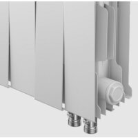 Биметаллический радиатор Royal Thermo PianoForte 200 Bianco Traffico VDR (12 секций) - Превью изображения №3 — Интернет-магазин Time-Shop