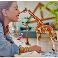 Конструктор LEGO Creator 31150 Дикие животные сафари - Превью изображения №9 — Интернет-магазин Time-Shop