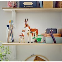 Конструктор LEGO Creator 31150 Дикие животные сафари - Превью изображения №11 — Интернет-магазин Time-Shop