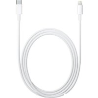 Apple USB 2.0 Type-C - Lightning (1 м, белый)