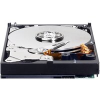 Жесткий диск WD Caviar Blue 500GB WD5000AAKX - Превью изображения №6 — Интернет-магазин Time-Shop