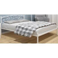 ИП Князев Лилия 120x200 (белый)