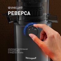 Соковыжималка Weissgauff WSJ 200 MB Compact Juice - Превью изображения №8 — Интернет-магазин Time-Shop